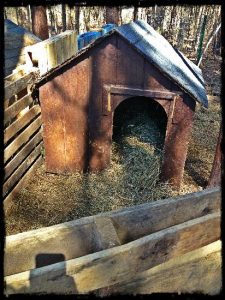 Frugal Farrowing Pen Image